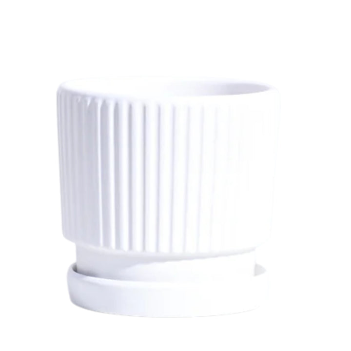 Ceramic Planter
